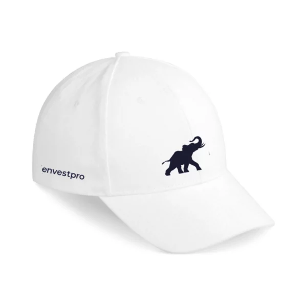 Pro Basic Cap - 6 Panel